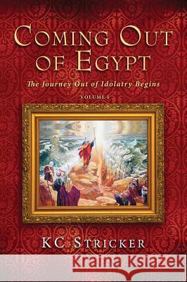 Coming Out of Egypt K C Stricker 9781498248952 Resource Publications (CA) - książka