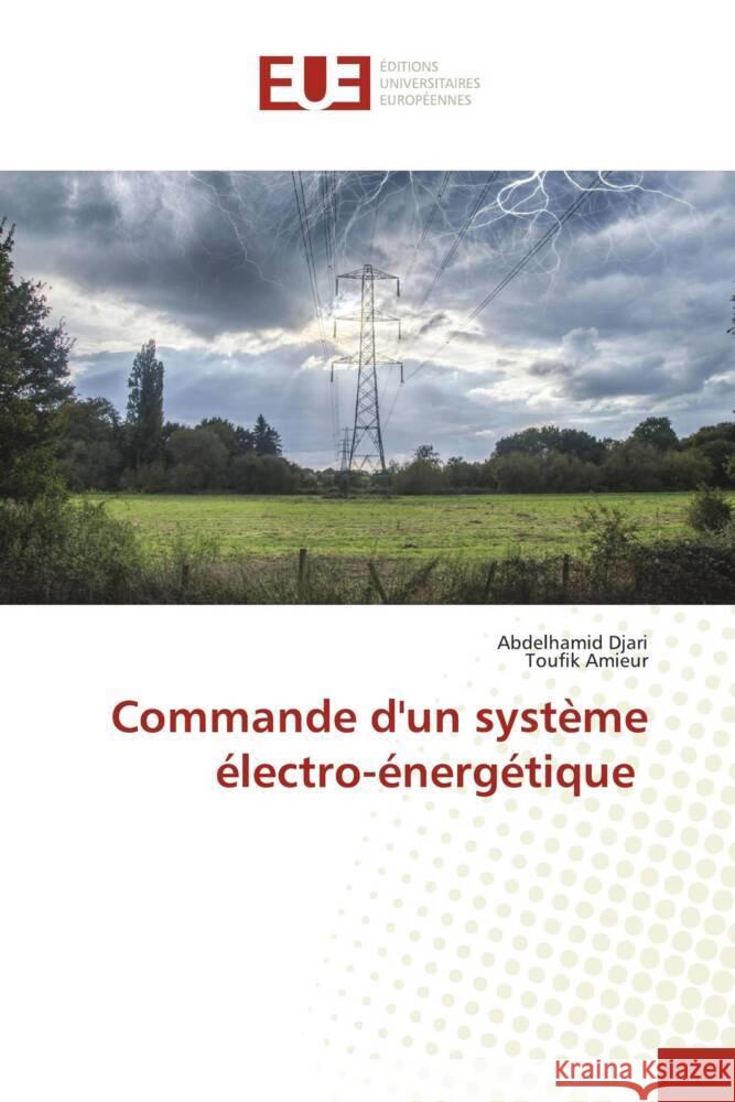 Commande d'un système électro-énergétique Djari, Abdelhamid, Amieur, Toufik 9786202548328 Éditions universitaires européennes - książka