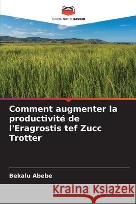 Comment augmenter la productivité de l'Eragrostis tef Zucc Trotter Abebe, Bekalu 9786209223310 Editions Notre Savoir - książka