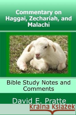 Commentary on Haggai, Zechariah, and Malachi: Bible Study Notes and Comments David E Pratte   9798398632996 Independently Published - książka