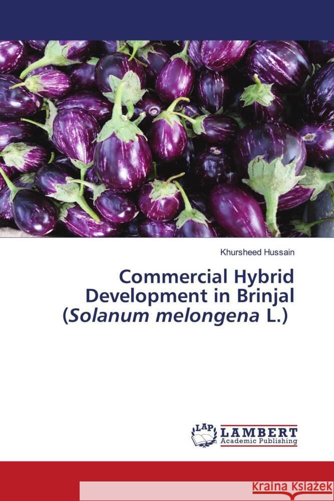 Commercial Hybrid Development in Brinjal (Solanum melongena L.) Khursheed Hussain 9786205512845 LAP Lambert Academic Publishing - książka
