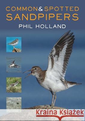 Common and Spotted Sandpipers Phil Holland 9781849953610 Whittles Publishing - książka