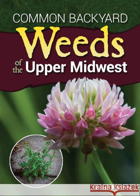 Common Backyard Weeds of the Upper Midwest Teresa Marrone 9781591937326 Adventure Publications - książka