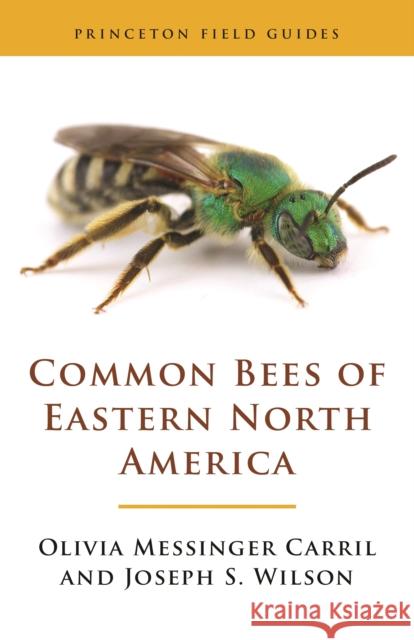 Common Bees of Eastern North America Joseph S. Wilson Olivia Messinger Carril 9780691175492 Princeton University Press - książka