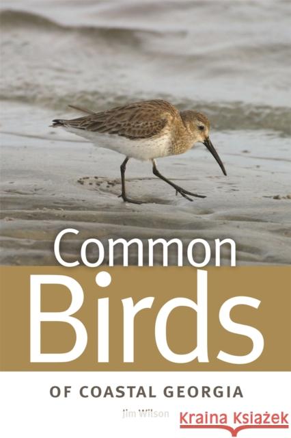 Common Birds of Coastal Georgia Jim Wilson 9780820338286 University of Georgia Press - książka