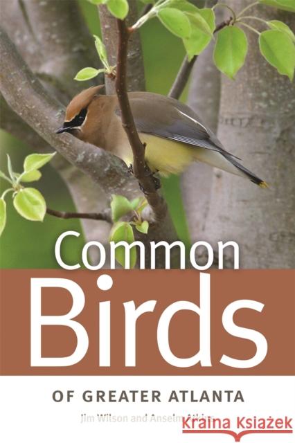 Common Birds of Greater Atlanta Jim Wilson Anselm Atkins 9780820338255 University of Georgia Press - książka