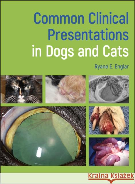 Common Clinical Presentations in Dogs and Cats Ryane E. Englar 9781119414582 Wiley-Blackwell - książka