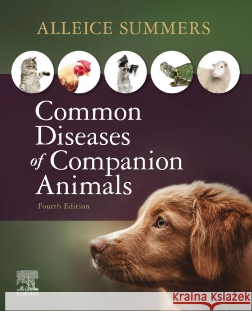 Common Diseases of Companion Animals Alleice (Cedar Valley College, Veterinary Technology, Lancaster, TX) Summers 9780323596572 Mosby - książka