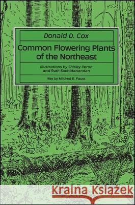 Common Flowering Plants of the Northeast Donald D. Cox   9780873958905 State University of New York Press - książka