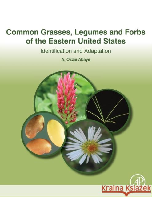 Common Grasses, Legumes and Forbs of the Eastern United States: Identification and Adaptation A. Ozzie Abaye 9780128139516 Academic Press - książka