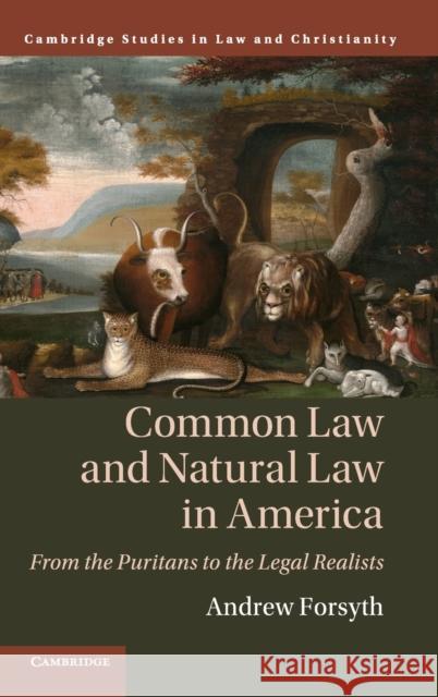Common Law and Natural Law in America: From the Puritans to the Legal Realists Andrew Forsyth 9781108476973 Cambridge University Press - książka
