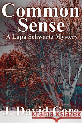 Common Sense: A Lupa Schwartz Mystery J. David Core 9781494392192 Createspace - książka