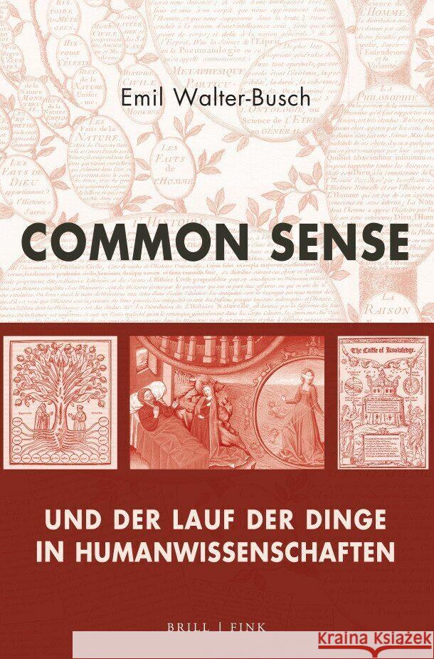 Common Sense und der Lauf der Dinge in Humanwissenschaften Walter-Busch, Emil 9783770567768 Brill | Fink - książka