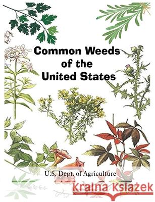 Common Weeds of the United States U S Dept of Agriculture 9781684119783 www.bnpublishing.com - książka