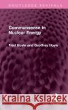 Commonsense in Nuclear Energy Geoffrey Hoyle 9781032661629 Taylor & Francis Ltd
