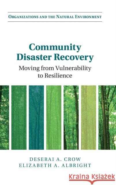 Community Disaster Recovery: Moving from Vulnerability to Resilience Deserai A. Crow Elizabeth A. Albright 9781316511640 Cambridge University Press - książka