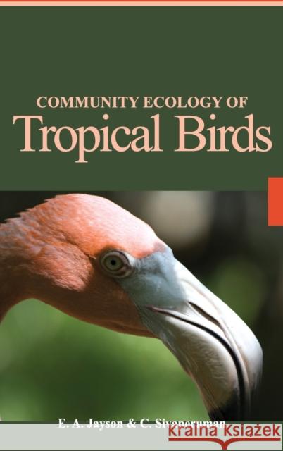 Community Ecology of Tropical Birds  9789380235165 New India Publishing Agency - książka
