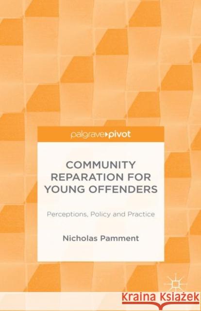 Community Reparation for Young Offenders: Perceptions, Policy and Practice Pamment, N. 9781137400451 Palgrave Pivot - książka