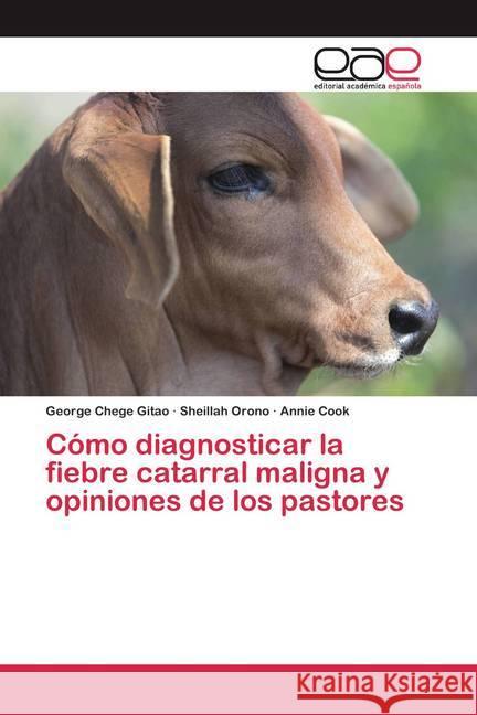 Cómo diagnosticar la fiebre catarral maligna y opiniones de los pastores Chege Gitao, George; Orono, Sheillah; Cook, Annie 9786200396228 Editorial Académica Española - książka