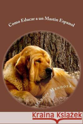 Como Educar a un Mastin Espanol Mendoza, Marcos 9781546595861 Createspace Independent Publishing Platform - książka