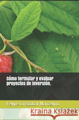 Cómo formular y evaluar proyectos de inversión. Cristobal Marcelino, Felipe 9781704532462 Independently Published - książka