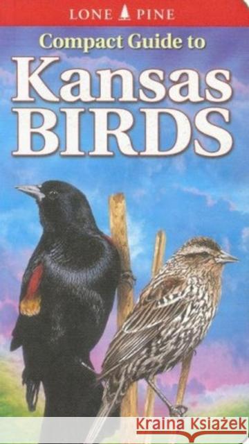 Compact Guide to Kansas Birds Ted Cable, Gregory Kennedy 9789768200259 Lone Pine Publishing International Inc. - książka