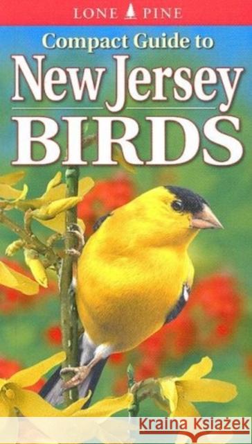 Compact Guide to New Jersey Birds Paul Lehman, Gregory Kennedy, Krista Kagume 9789768200242 Lone Pine Publishing International Inc. - książka