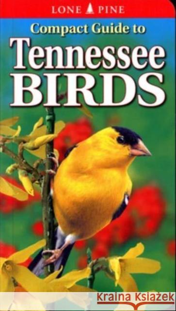 Compact Guide to Tennessee Birds Michael Roedel Gregory Kennedy 9781774511534 Lone Pine Publishing - książka