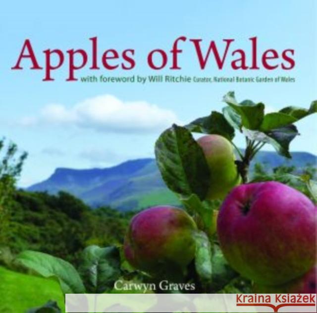 Compact Wales: Apples of Wales Carwyn Graves 9781845242848 Llygad Gwalch Cyf - książka
