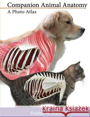 Companion Animal Anatomy: A Photo Atlas Heather W. Dunn 9781500767631 Createspace Independent Publishing Platform - książka