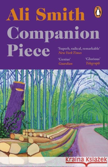 Companion piece: The new novel from the Booker-shortlisted author of How to be both Ali Smith 9780241993958 Penguin Books Ltd - książka