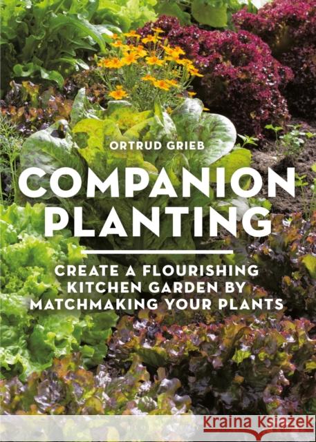Companion Planting: Create a Flourishing Kitchen Garden By Matchmaking Your Plants Ortrud Grieb 9781399427487 Green Books - książka