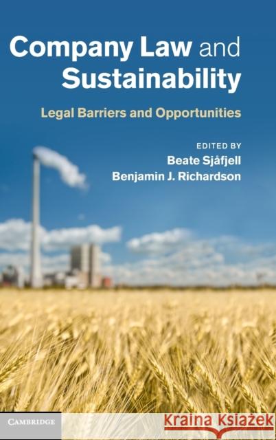 Company Law and Sustainability: Legal Barriers and Opportunities Sjåfjell, Beate 9781107043275 Cambridge University Press - książka