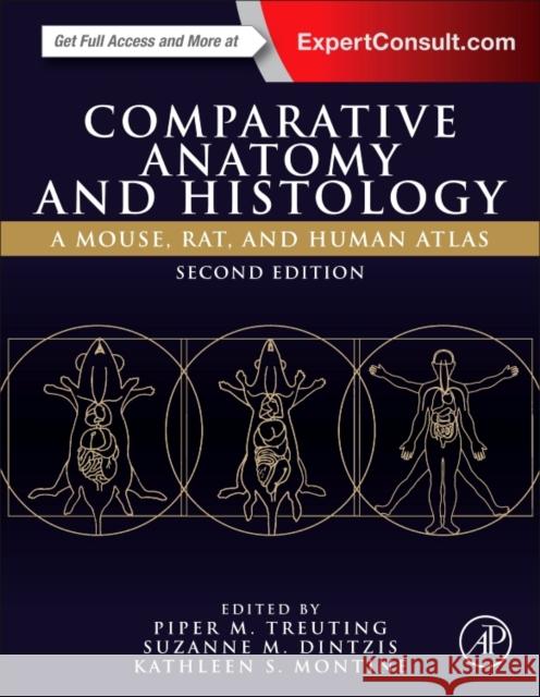 Comparative Anatomy and Histology: A Mouse, Rat, and Human Atlas Treuting, Piper M. 9780128029008 Elsevier Science Publishing Co Inc - książka