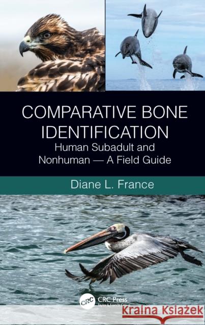 Comparative Bone Identification: Human Subadult and Nonhuman - A Field Guide Diane L. France 9781032041322 CRC Press - książka