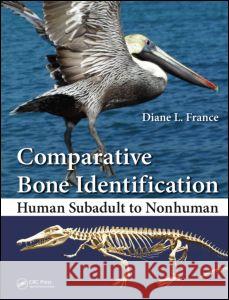 Comparative Bone Identification: Human Subadult to Nonhuman Diane France 9781439820438 CRC Press - książka