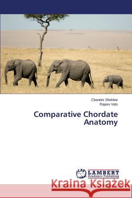 Comparative Chordate Anatomy Shekhar Chander                          Vats Rajeev 9783659500862 LAP Lambert Academic Publishing - książka