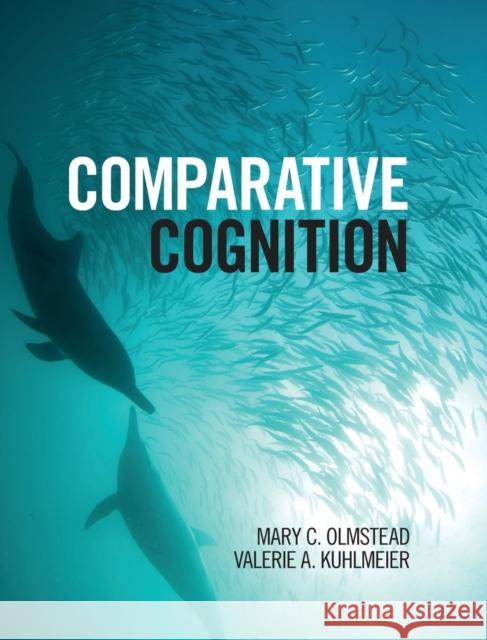 Comparative Cognition Mary Olmstead Valerie Kuhlmeier 9781107011168 Cambridge University Press - książka