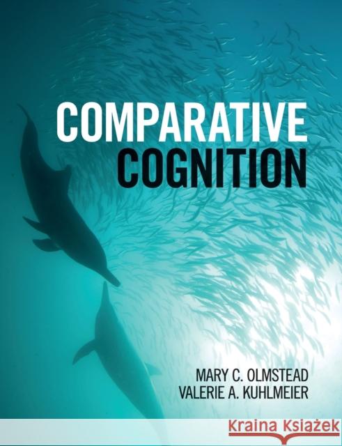 Comparative Cognition Mary C Olmstead & Valerie A Kuhlmeier 9781107648319 CAMBRIDGE UNIVERSITY PRESS - książka