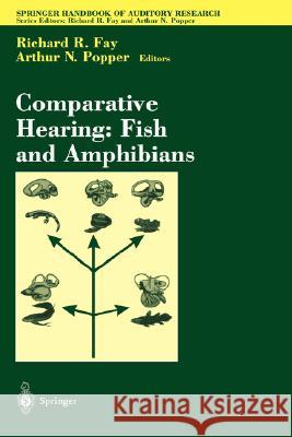 Comparative Hearing: Fish and Amphibians Arthur N. Popper Richard R. Fay R. R. Fay 9780387984704 Springer - książka