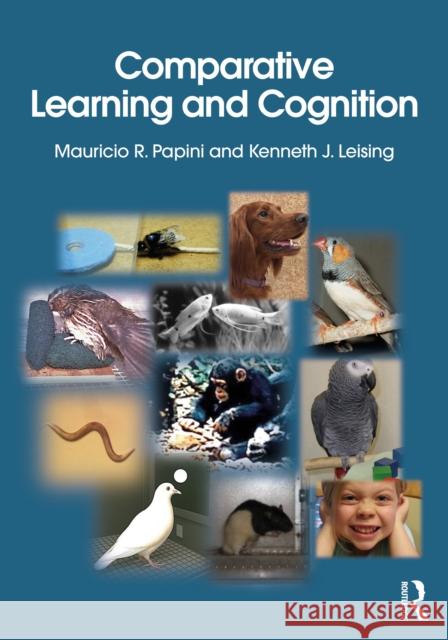 Comparative Learning and Cognition Kenneth J. (Texas Christian Uni) Leising 9781032513812 Routledge - książka