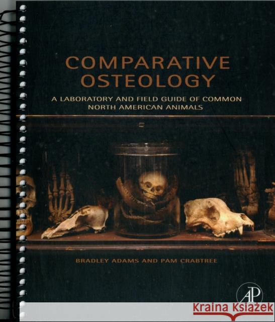 Comparative Osteology: A Laboratory and Field Guide of Common North American Animals Adams, Bradley 9780123884374  - książka