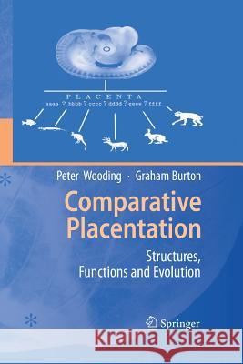 Comparative Placentation: Structures, Functions and Evolution Wooding, Peter 9783642446801 Springer - książka