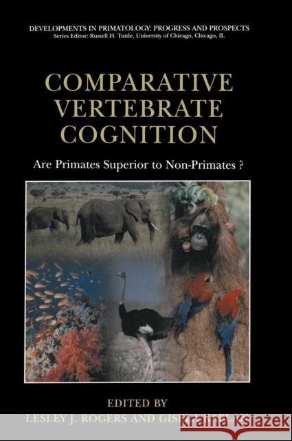 Comparative Vertebrate Cognition: Are Primates Superior to Non-Primates? Rogers, Lesley J. 9780306477270 KLUWER ACADEMIC PUBLISHERS GROUP - książka