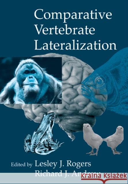 Comparative Vertebrate Lateralization Lesley J. Rogers 9780521787000  - książka