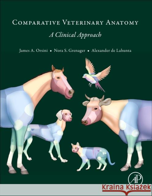 Comparative Veterinary Anatomy: A Clinical Approach James A. Orsini Nora S. Grenager Alexander de Lahunta 9780323910156 Academic Press - książka