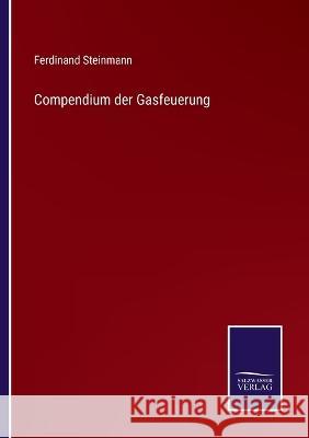 Compendium der Gasfeuerung Ferdinand Steinmann 9783375060305 Salzwasser-Verlag - książka