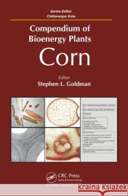 Compendium of Bioenergy Plants: Corn Goldman, Stephen L. 9781482210583 CRC Press - książka