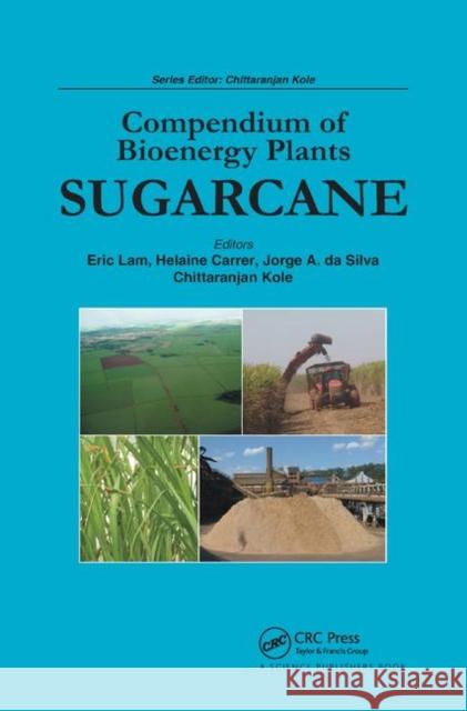Compendium of Bioenergy Plants: Sugarcane Eric Lam Helaine Carrer Jorge A. D 9780367377281 CRC Press - książka