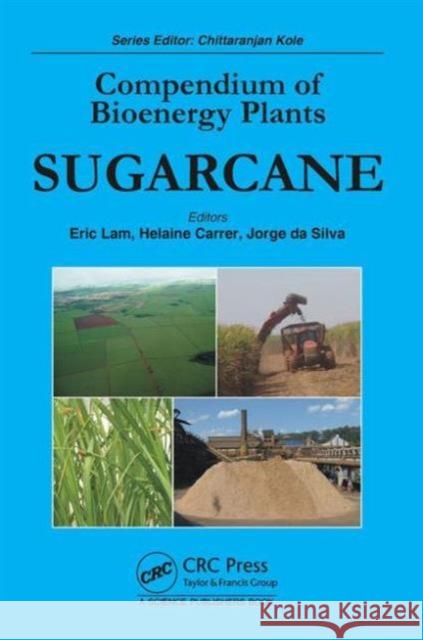 Compendium of Bioenergy Plants: Sugarcane Eric Lam Helaine Carrer Jorge A. D 9781498743389 CRC Press - książka